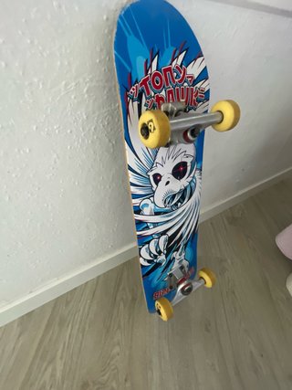Skate Birdhouse Completo