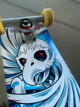 Skate Birdhouse Completo