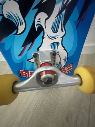 Skate Birdhouse Completo