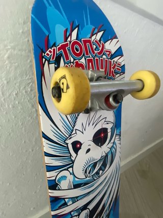 Skate Birdhouse Completo