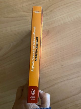 Romanzo Segreto criminale