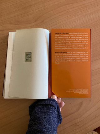 Romanzo Segreto criminale