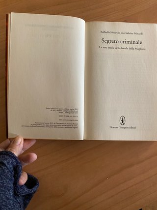Romanzo Segreto criminale