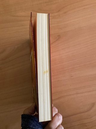 Romanzo Segreto criminale