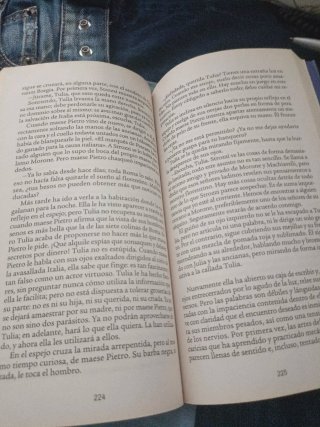 La Ciudad Escarlata La Novela de Los Borgia