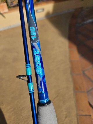 Lote de cañas de pesca variadas