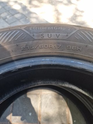 215 60 17 Neumáticos Goodyear