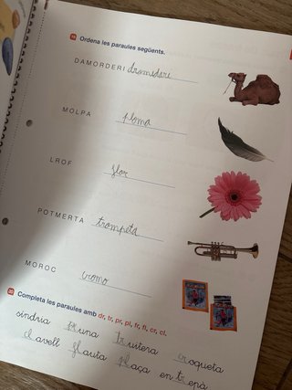 Llengua catalana, 2 Primària Projecte Saber fer