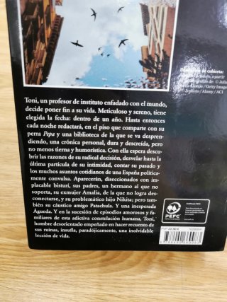 Los vencejos