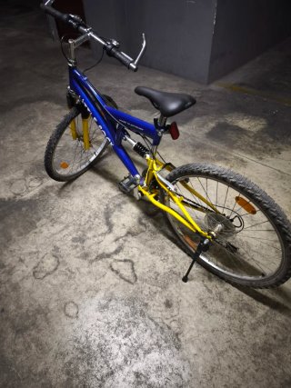 Bicicleta de Montaña