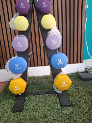 Set Mancuernas 2-3-4-5y6 Kg + Soporte