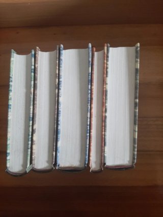 Colección autores de lengua española (tapa dura)