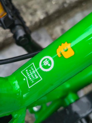 Bicicleta Infantil Verde CONOR