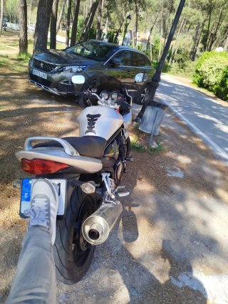 Suzuki Bandit 650 S Plata