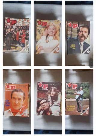 REVISTAS TELEPROGRAMA AÑO 1973