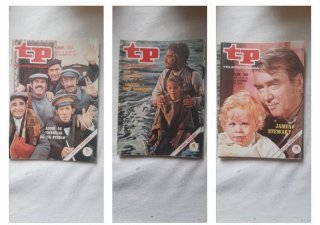 REVISTAS TELEPROGRAMA AÑO 1973