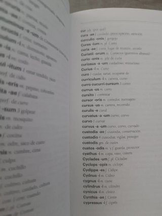 Diccionario latín español