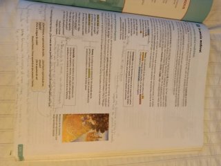 Lengua castellana y literatura 1 Bachillerato