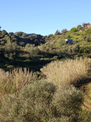Terreno rústico Mijas Costa 5000m²