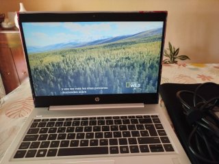 HP ProBook 440 G7 Reacondicionado