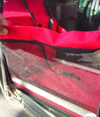 Cesta para mascotas en coche