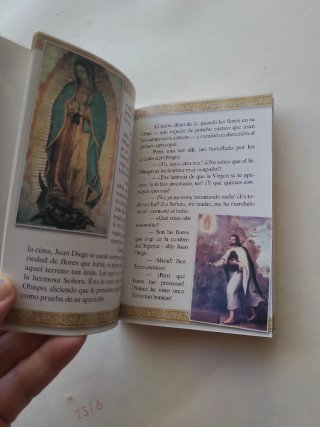 Libro Milagros de María