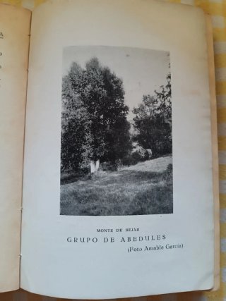 Fuente Santa. Novela Arqueológica. Juan Muñoz 1935