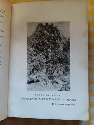 Fuente Santa. Novela Arqueológica. Juan Muñoz 1935