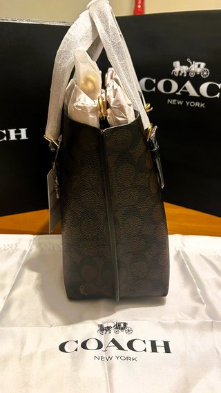 COACH Mollie Tote 25 Lona Firma Marrón/Oro