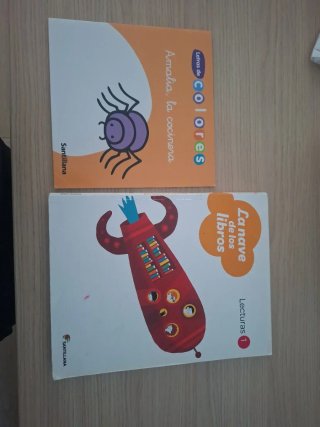 LECTURAS LA NAVE DE LOS LIBROS 1 PRIMARIA LOS C...