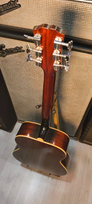 Bjärton Sammy 1966 RW Brasilian Rosewood