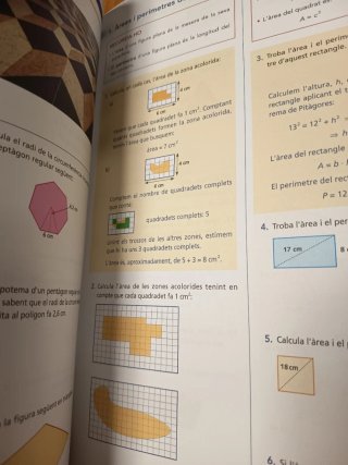 Libro Matemàtiques 1.3 Vicens Vives