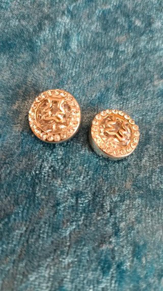 Pendientes plateados redondos con circonitas