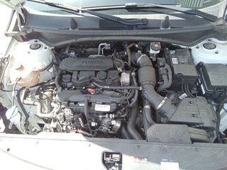 Kia Sportage 1.6 T-GDi MHEV Drive 4x2  (150 CV)
