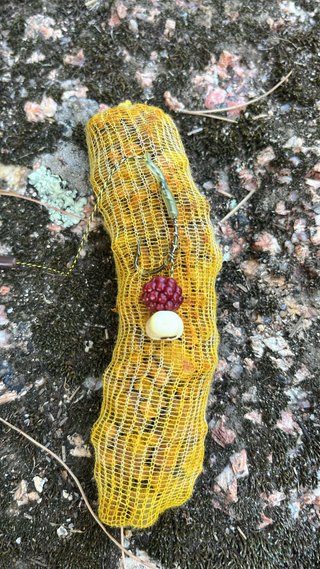 Cebo para pesca