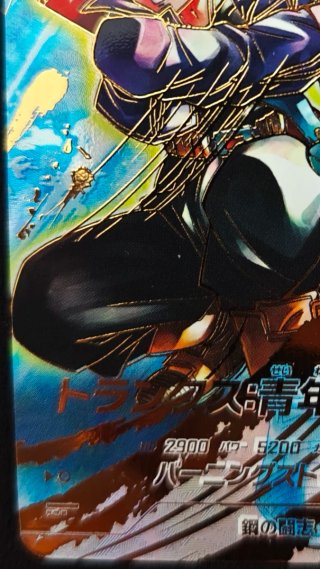 Trunks SDV10-059