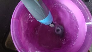 Aspirador Piscina Batería 3 en 1