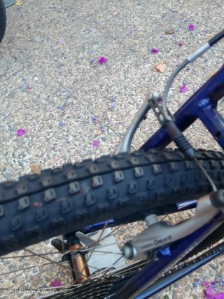 Bicicleta Scott Tampico