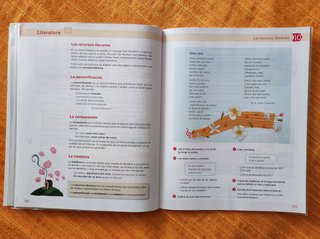 Lengua castellana 5 Primaria