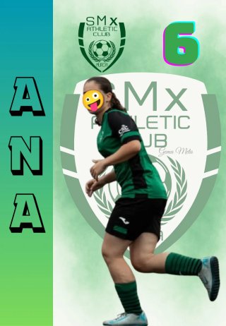 Cromos personalizados - Regalo/Coleccionismo