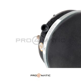 Balona Suspensión Neumática Range Rover L322 Dcha.