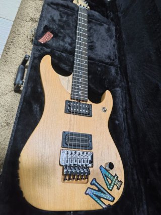 Washburn Nuno USA Signature Series Guitarra Eléctr