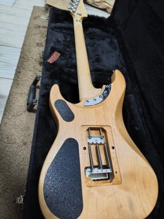 Washburn Nuno USA Signature Series Guitarra Eléctr