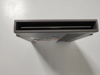 Astyanax (NES) Jaleco