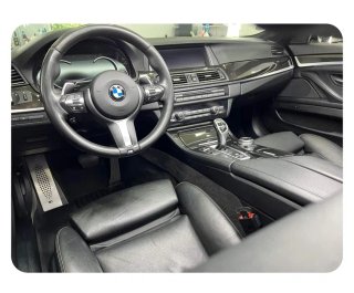 BMW Serie 5 2015