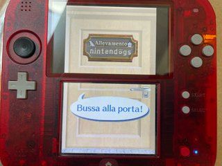Nintendogs Labrador e Amici Ntr-Ad3p-Eur Nintendo