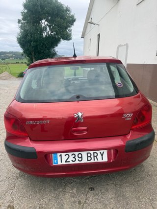 Peugeot 307 2002