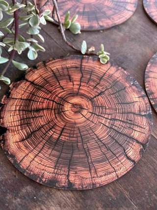 Set 4 posavasos madera tronco rústico