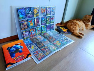 Lote Pokémon: Cajas y Álbumes (Réplicas)