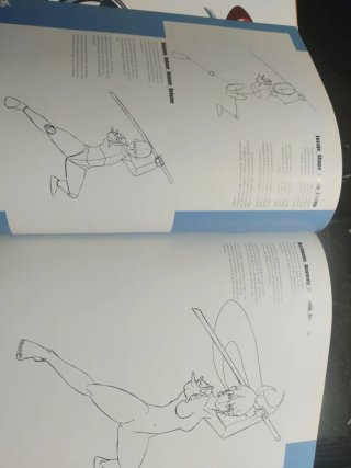 Drawing manga step by step